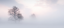 misty.png