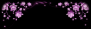 Boxcode-flower-upper.png