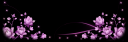 Boxcode-flower-lower.png
