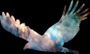 eagleblack.png