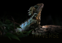 traverse_top1.png