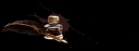 katelyn_sig.png