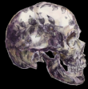 skull flower small.png