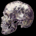 skull flower small.png