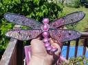dragonfly.jpg