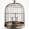 cs-birdcage.jpg