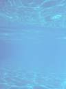 ocean background.jpg