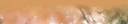 autumn footer.jpg