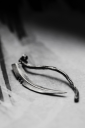 download (13).png