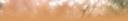 autumn 515 header 1.jpg