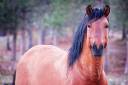 120608_5391.jpg