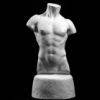 bodybuilding.jpg