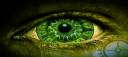 Eye.jpg