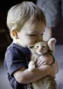 baby-boy-cat-cute-katze-Favim.com-52360.jpg