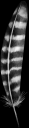 6.png