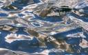 silver-water-reflections.jpg