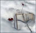 Winter Writing Challenge 515.jpg