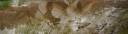 horse and mud and grass.jpg