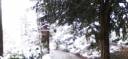 winter header.jpg