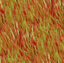 redgrass.png