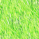 whigrass.png