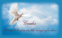Dove-Grades.png
