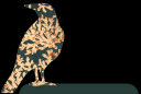 coralmagpie.png