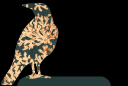 coralmagpie.png