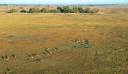 01I07K-IM1001-kafue-rivers-and-plains-1475.jpg
