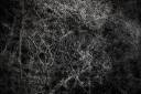 black_leather_abstract_texture_by_beckas.jpg