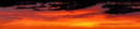 draven mcneil edit.png