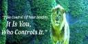 african-lion-cover-200x100.jpg