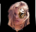 firenze.png