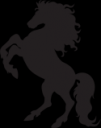 Horse_Head_Clip_Artsmall.png