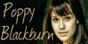 download (5)-500x250.jpg