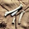 bones.jpg
