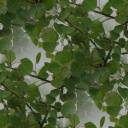 seamless_leaves_by_meyrocu.jpg