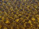shallow-water_9436_600x450.jpg