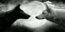 2015-new-Giclee-font-b-art-b-font-font-b-prints-b-font-canvas-painting-wall-700x350-700x350.jpg