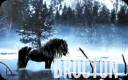 Brocton Horse Two.jpg