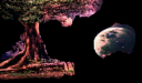 1464446506221.png