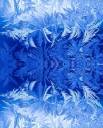 frost3.jpg
