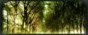il_fullxfull.328218014-700x268-700x287.jpg