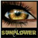 tranquil_eyes_colorchart_lights-brights1-200x200-320x320.jpg