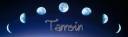 Tamsinbanner1.jpg