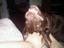IMG00356-20110814-1656.jpg