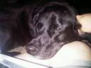 IMG00373-20110814-1712.jpg