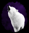 nikia.png