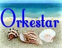 seashells-beach-5339834-650x500.jpg