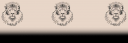 lionsfooter.png